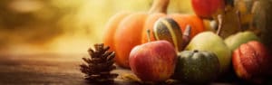 thanksgiving